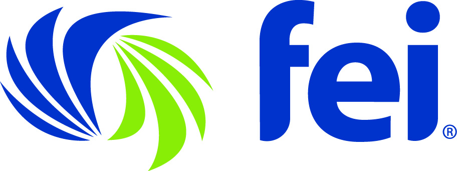 FEI logo